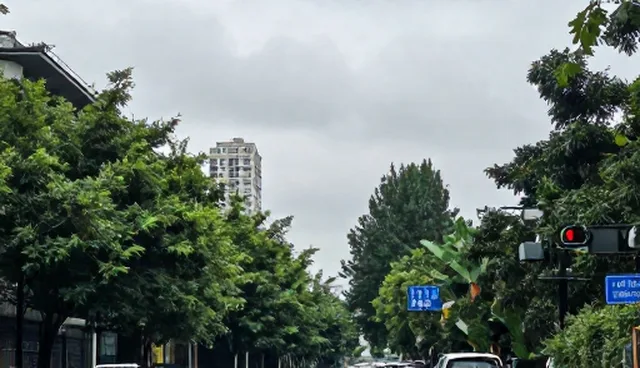 行业分类查询选型关注点与适用限制